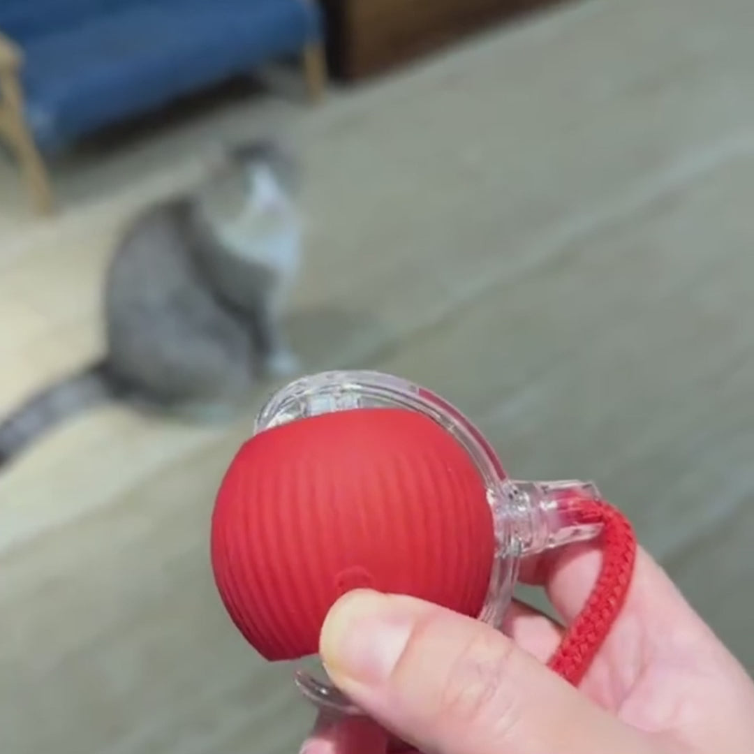 Interactive Cat Toy Ball Super Drive Cat Rolling Ball